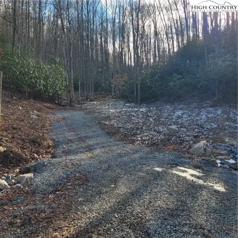 1463 Pine Ridge Rd, Beech Mountain, NC 28604 photo 7