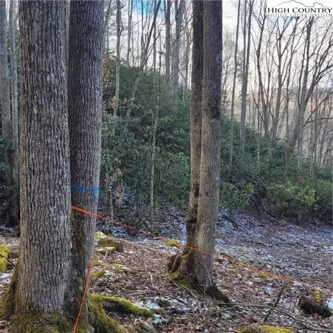 1463 Pine Ridge Rd, Beech Mountain, NC 28604 photo 18