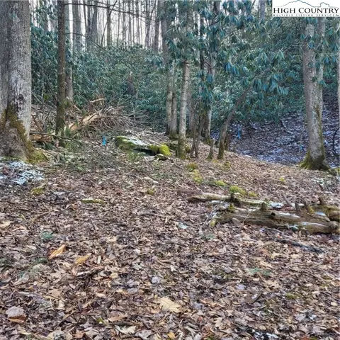 1463 Pine Ridge Rd, Beech Mountain, NC 28604 photo 20