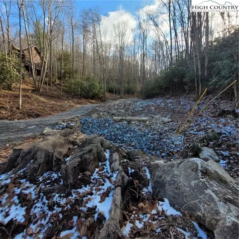 1463 Pine Ridge Rd, Beech Mountain, NC 28604 photo 8