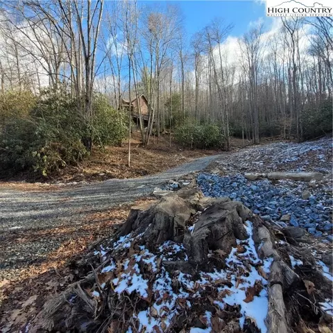 1463 Pine Ridge Rd, Beech Mountain, NC 28604