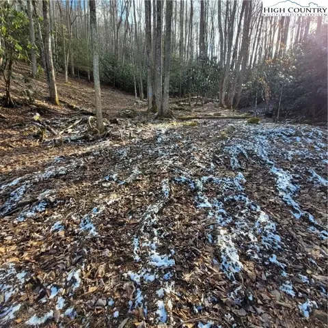 1463 Pine Ridge Rd, Beech Mountain, NC 28604 photo 10