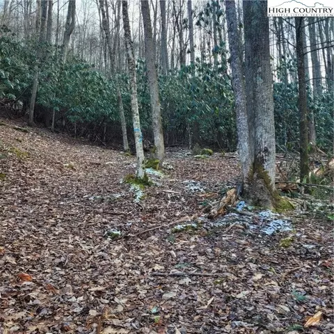 1463 Pine Ridge Rd, Beech Mountain, NC 28604 photo 21