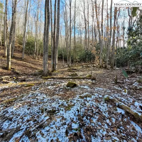 1463 Pine Ridge Rd, Beech Mountain, NC 28604 photo 12