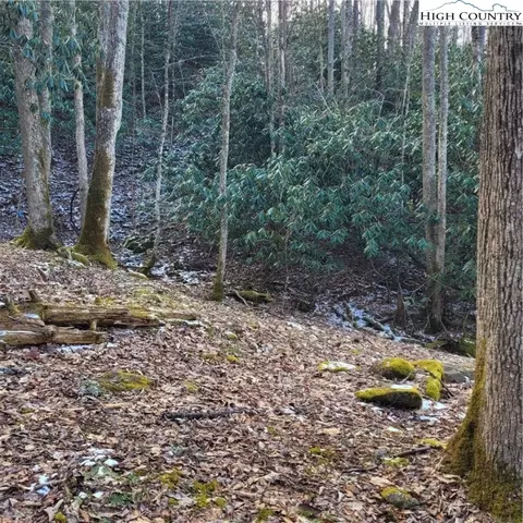 1463 Pine Ridge Rd, Beech Mountain, NC 28604 photo 19