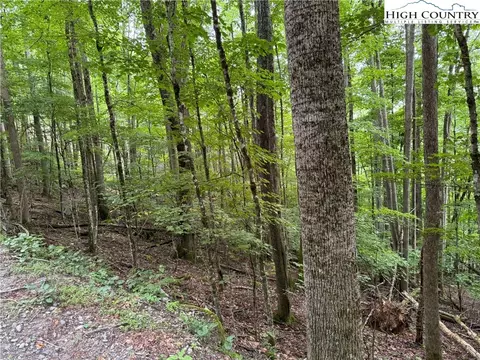 119 Raccoon Rd, Beech Mountain, NC 28604