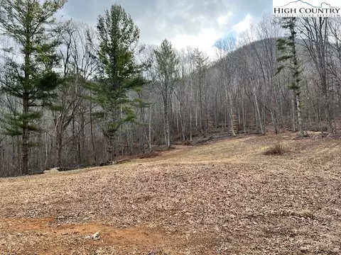 tbd Mcneill Rd, Lansing, NC 28617 photo 5