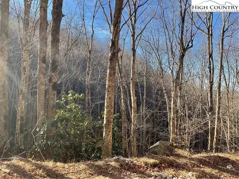 117 Smoketree Rd, Beech Mountain, NC 28604 photo 4