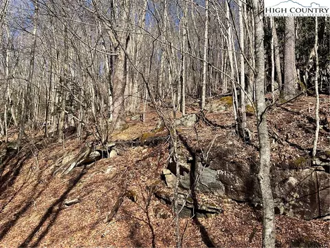 117 Smoketree Rd, Beech Mountain, NC 28604 photo 3