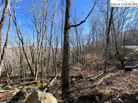 236 Lakeledge Rd, Beech Mountain, NC 28604 photo 4