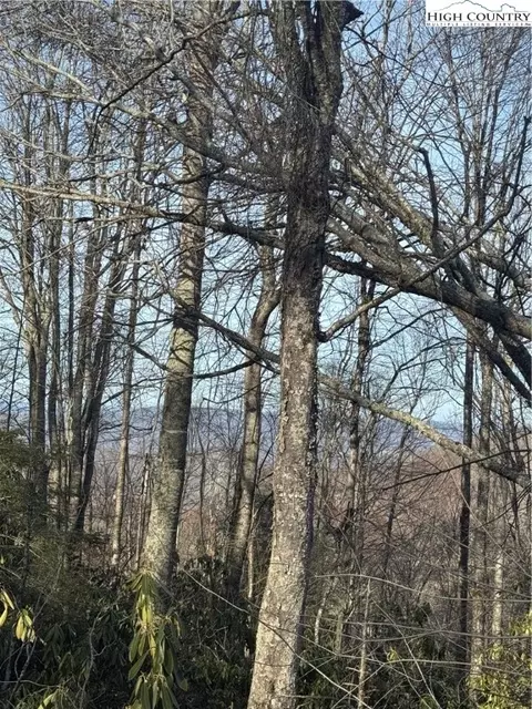 226 Greenbriar Rd, Beech Mountain, NC 28604