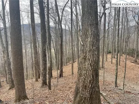 19 Jackson Ridge Rd, Boone, NC 28607