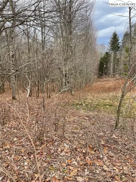 tbd Old Mountain Rd, Banner Elk, NC 28604