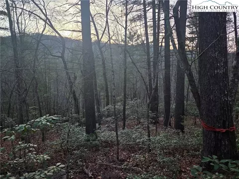 lot105 Roaring Ridge Rd, Deep Gap, NC 28618