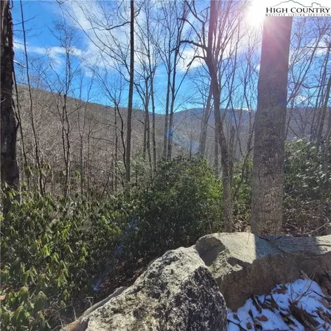 253 Poplar Rd, Beech Mountain, NC 28604 photo 2