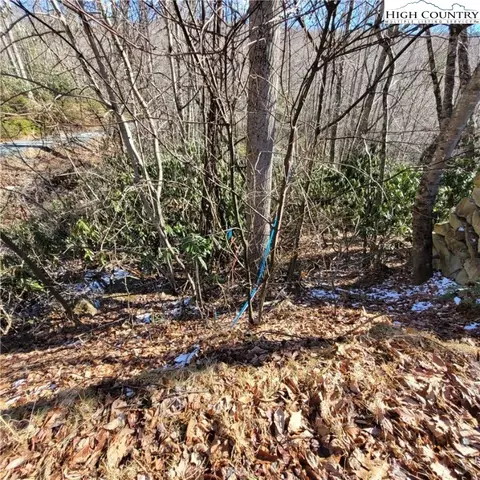 253 Poplar Rd, Beech Mountain, NC 28604 photo 8