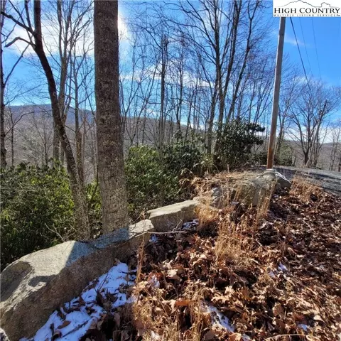 253 Poplar Rd, Beech Mountain, NC 28604 photo 7