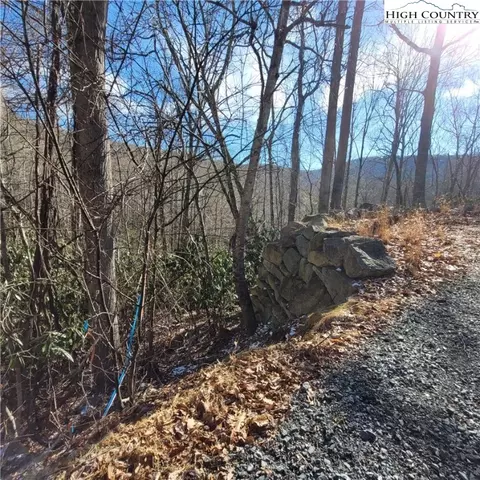 253 Poplar Rd, Beech Mountain, NC 28604 photo 9
