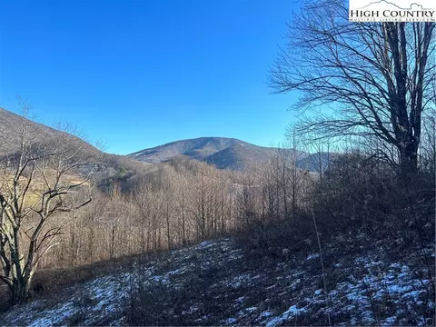 8173 Old Us Highway 421, Zionville, NC 28698