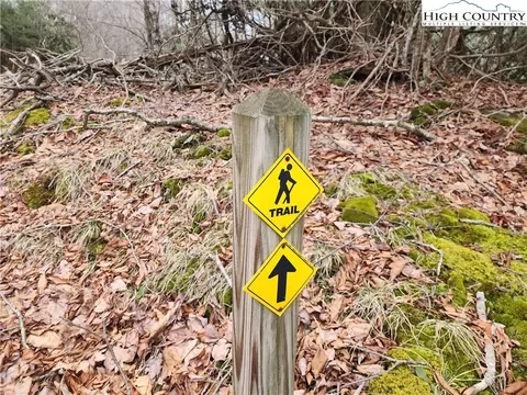 tbd Staghorn Holw, Beech Mountain, NC 28604 photo 3
