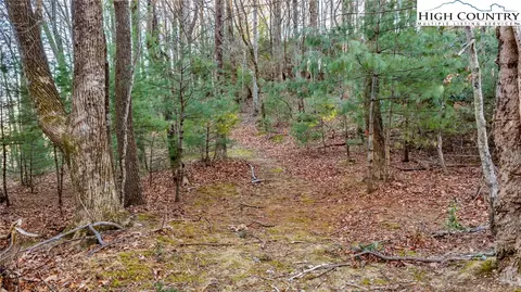 tbd Lump Rd, Purlear, NC 28665 photo 10