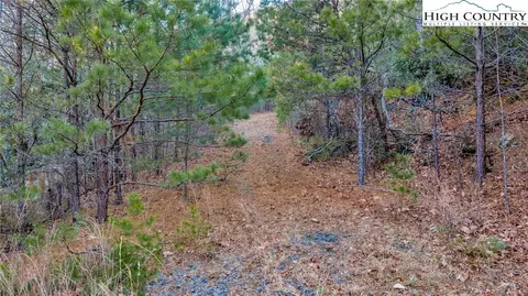 tbd Lump Rd, Purlear, NC 28665 photo 11
