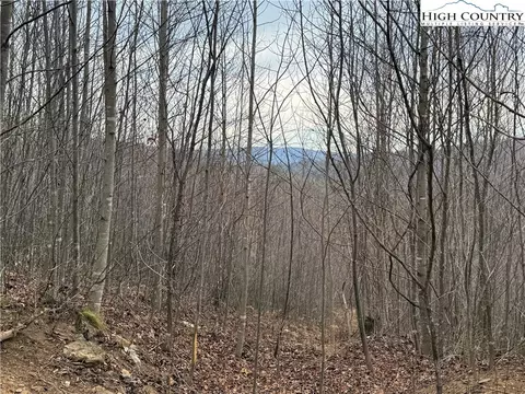 1260 1228 Nc Highway 194 S, Todd, NC 28684 photo 32