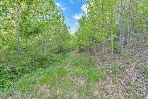 1260 1228 Nc Highway 194 S, Todd, NC 28684 photo 19