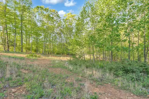 1260 1228 Nc Highway 194 S, Todd, NC 28684 photo 18