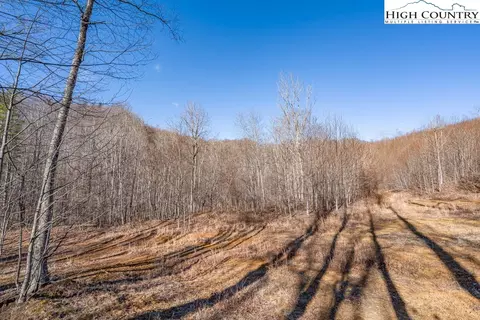 1260 1228 Nc Highway 194 S, Todd, NC 28684 photo 34