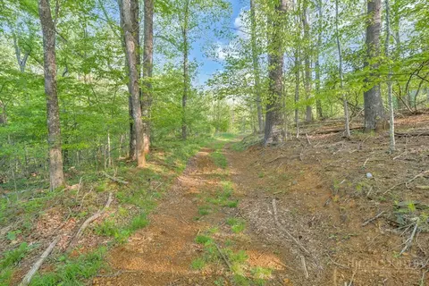 1260 1228 Nc Highway 194 S, Todd, NC 28684 photo 10