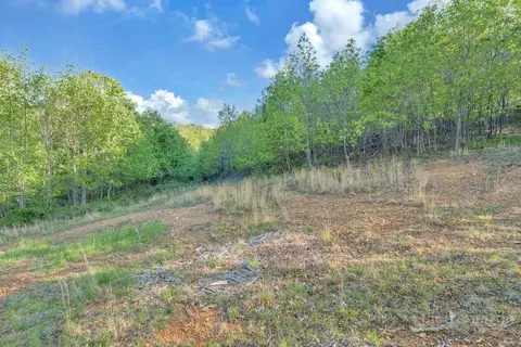 1260 1228 Nc Highway 194 S, Todd, NC 28684 photo 17