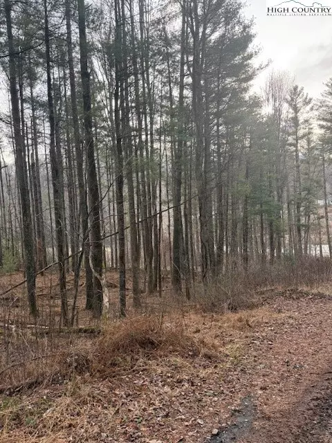 tbd Lot 468 Skyline Rd, West Jefferson, NC 28694