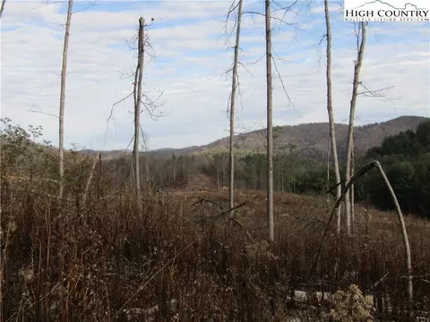 tbd Plumb Nearly Rd, Crumpler, NC 28617 photo 24