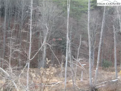 tbd Plumb Nearly Rd, Crumpler, NC 28617 photo 19