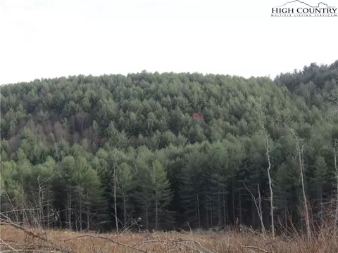 tbd Plumb Nearly Rd, Crumpler, NC 28617 photo 28