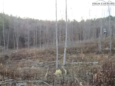 tbd Plumb Nearly Rd, Crumpler, NC 28617 photo 15