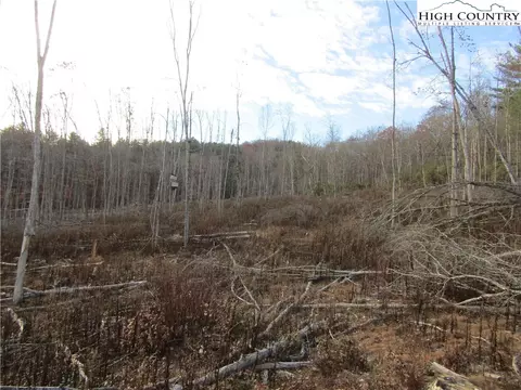 tbd Plumb Nearly Rd, Crumpler, NC 28617 photo 21