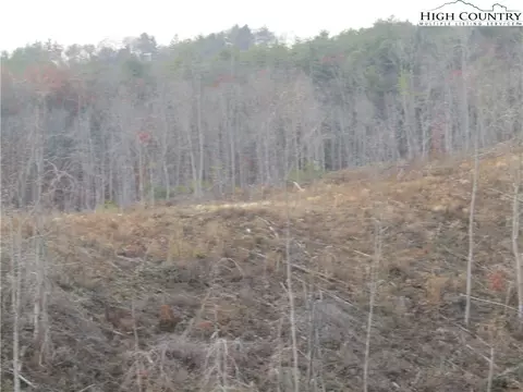 tbd Plumb Nearly Rd, Crumpler, NC 28617 photo 13