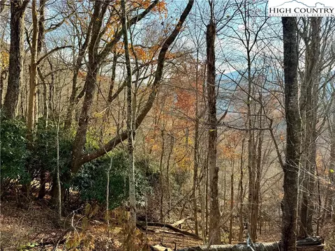 tbd Pheasant Walk Way, Vilas, NC 28692 photo 19
