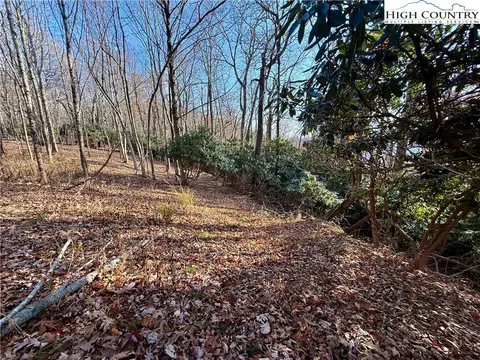 tbd Pheasant Walk Way, Vilas, NC 28692 photo 5