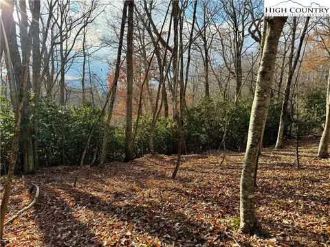tbd Pheasant Walk Way, Vilas, NC 28692 photo 8