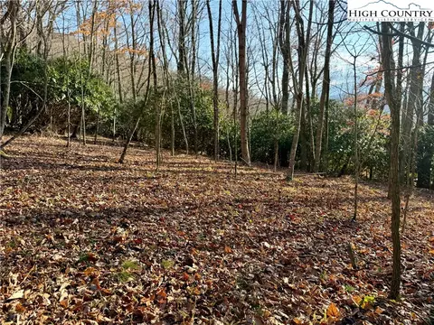 tbd Pheasant Walk Way, Vilas, NC 28692 photo 7