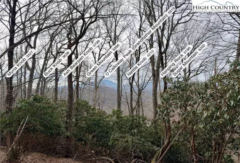 tbd Pheasant Walk Way, Vilas, NC 28692 photo 21
