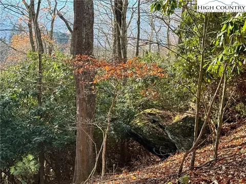 tbd Pheasant Walk Way, Vilas, NC 28692 photo 15