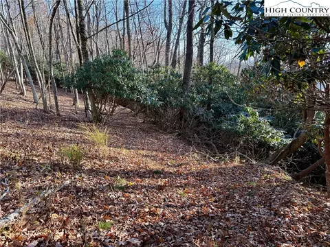 tbd Pheasant Walk Way, Vilas, NC 28692 photo 4
