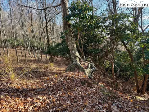 tbd Pheasant Walk Way, Vilas, NC 28692 photo 11