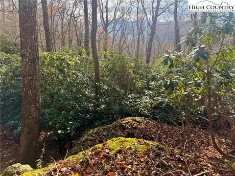 tbd Pheasant Walk Way, Vilas, NC 28692 photo 17