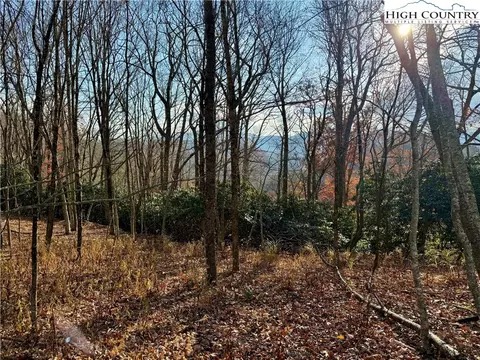 tbd Pheasant Walk Way, Vilas, NC 28692 photo 18