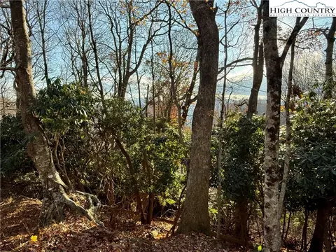 tbd Pheasant Walk Way, Vilas, NC 28692 photo 20